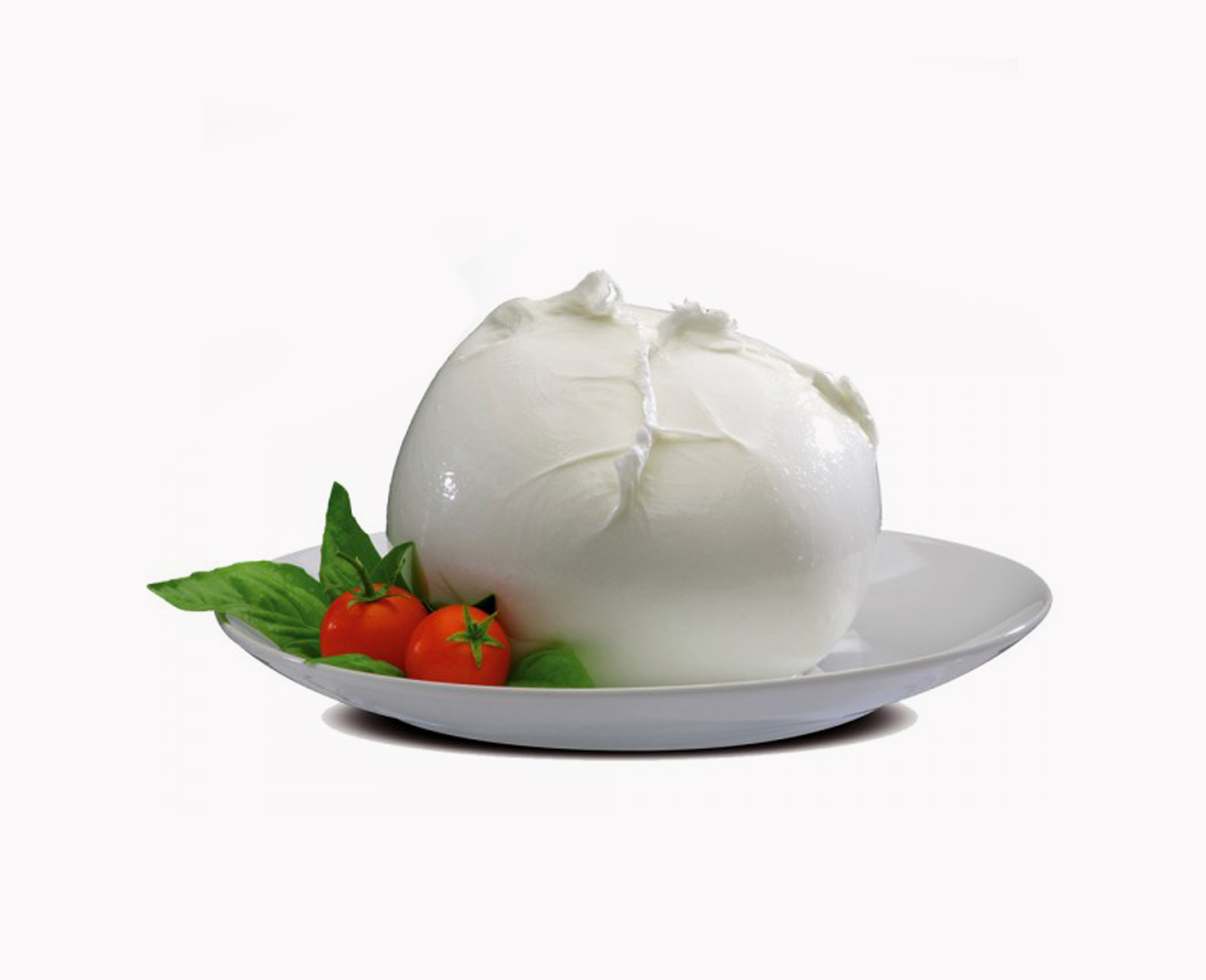 Mozzarella di Bufala Campana  DOP